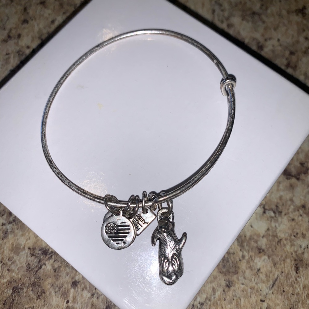 Otter Alex and Ani